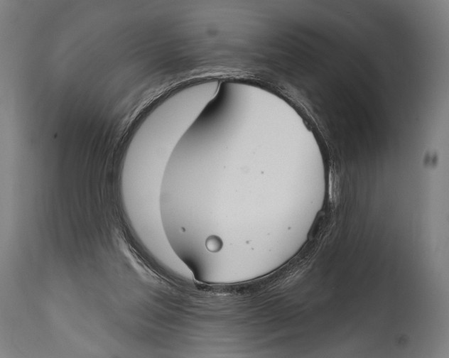 X0000114440205200911131523