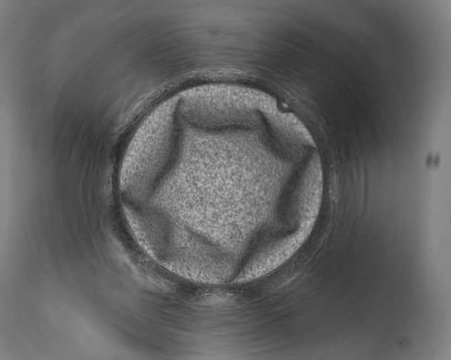 X0000114440206200911131523