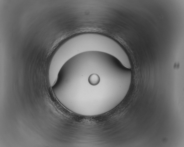 X0000114440207200911131523