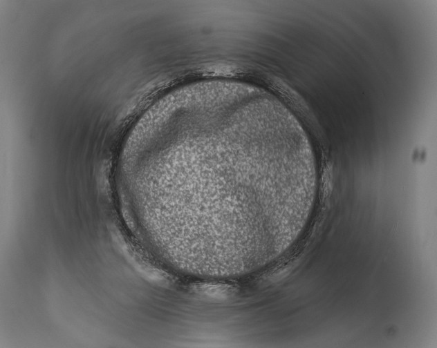 X0000114440209200911131523