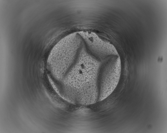 X0000114440210200911131523