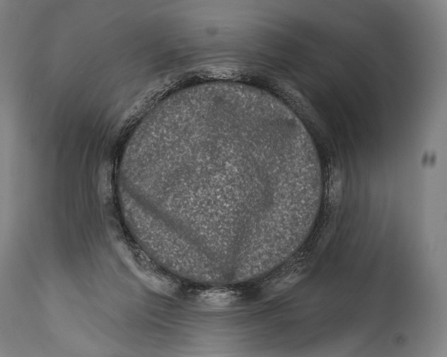 X0000114440213200911131523