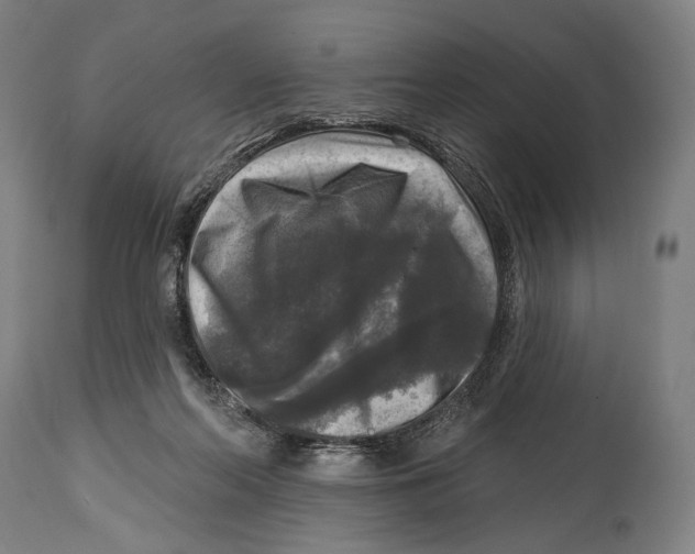 X0000114440214200911131523