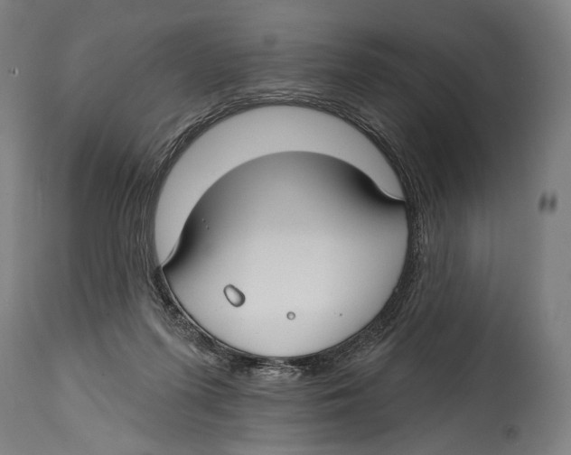 X0000114440215200911131523