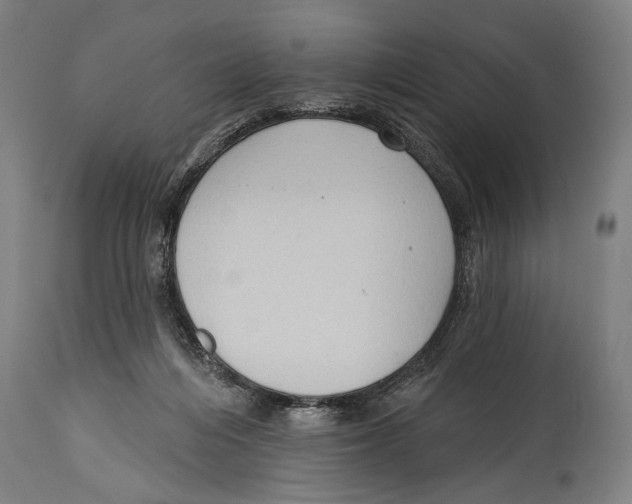 X0000114440216200911131523