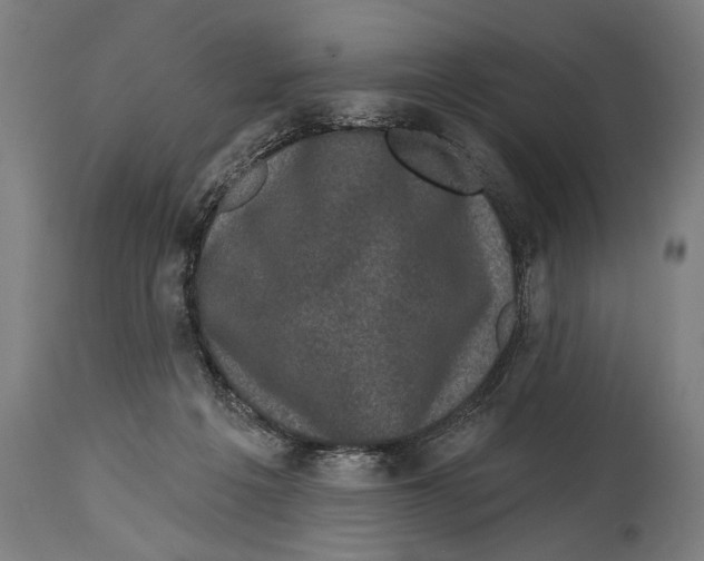 X0000114440217200911131523