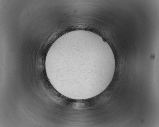 X0000114440220200911131523