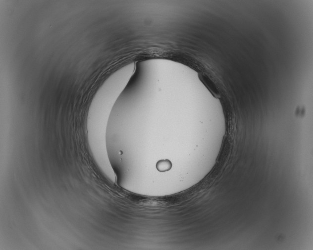 X0000114440221200911131523