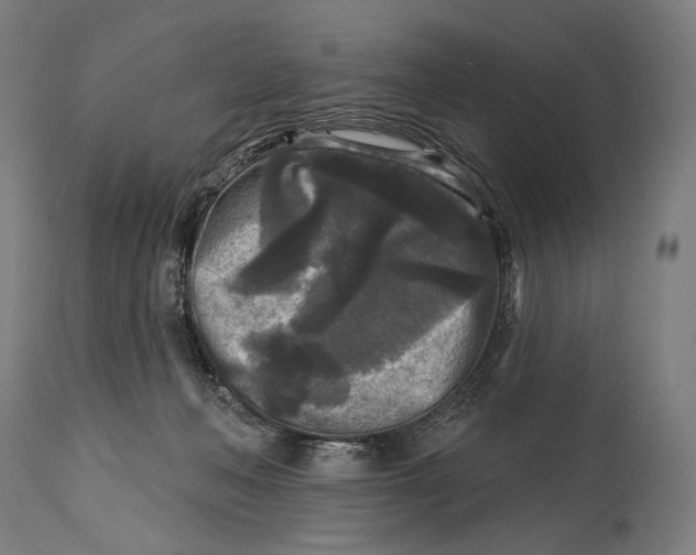 X0000114440222200911131523