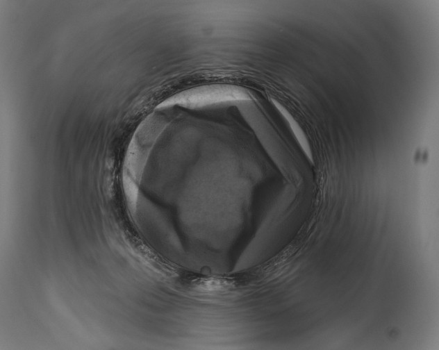 X0000114440223200911131523