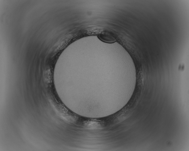X0000114440224200911131523