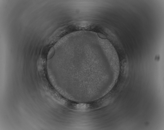 X0000114440225200911131523