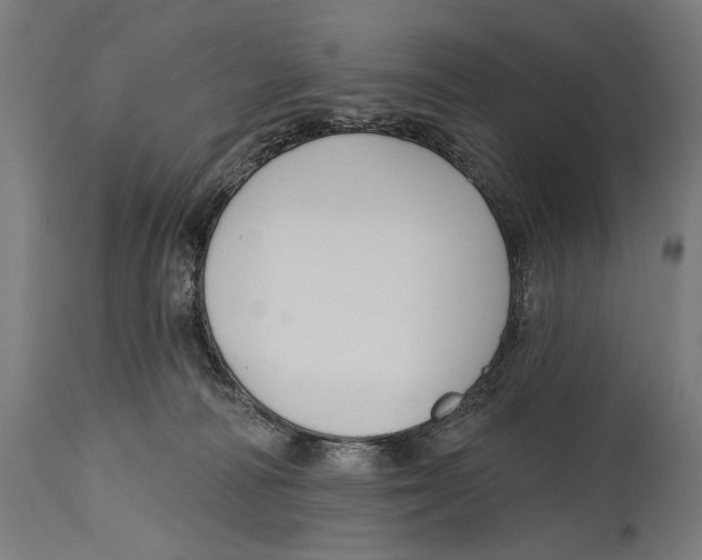 X0000114440226200911131523