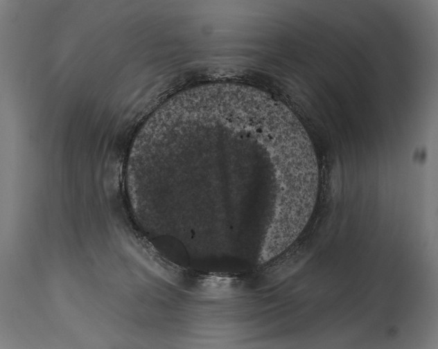 X0000114440227200911131523