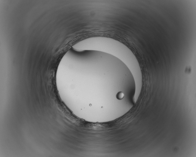 X0000114440229200911131523