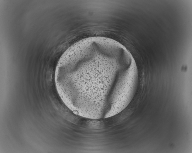 X0000114440230200911131523