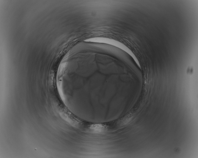 X0000114440231200911131523