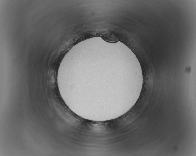 X0000114440232200911131523