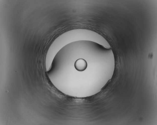 X0000114440233200911131523