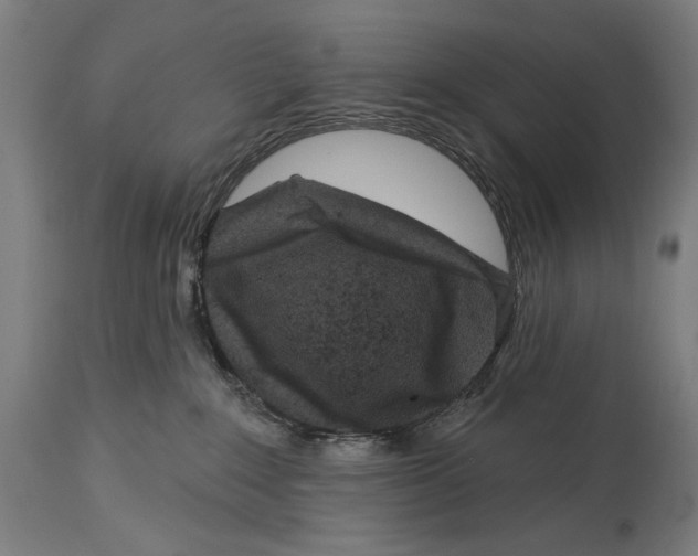 X0000114440235200911131523