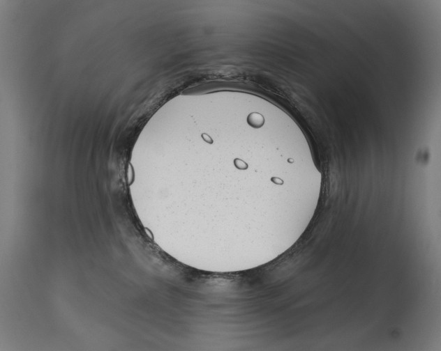 X0000114440236200911131523