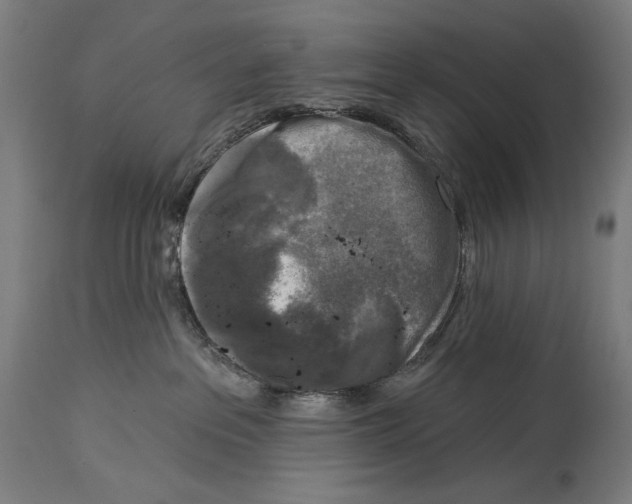 X0000114440237200911131523