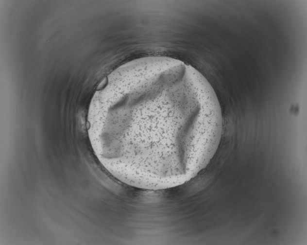 X0000114440238200911131523
