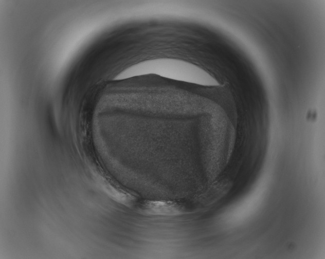 X0000114440239200911131523