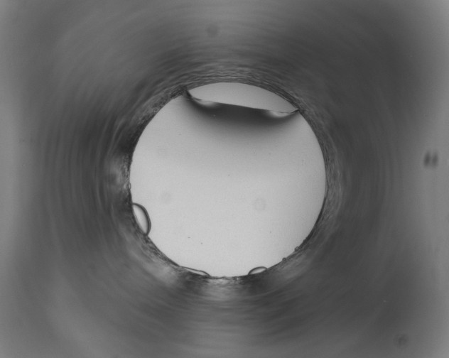 X0000114440240200911131522