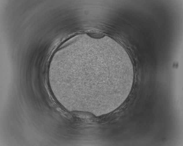 X0000114440241200911131522
