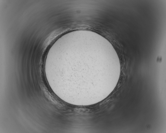 X0000114440242200911131522