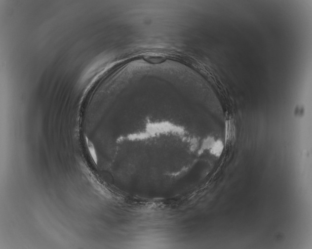 X0000114440243200911131522