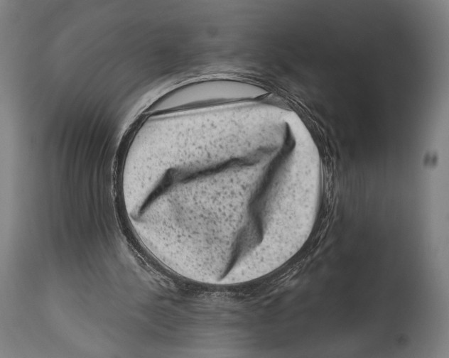 X0000114440244200911131522