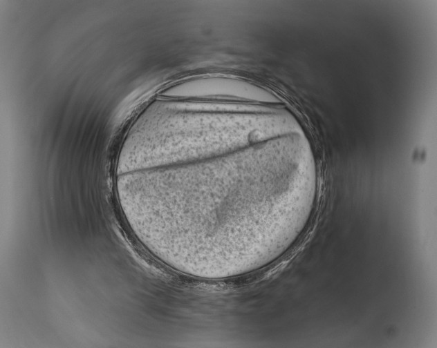 X0000114440245200911131522