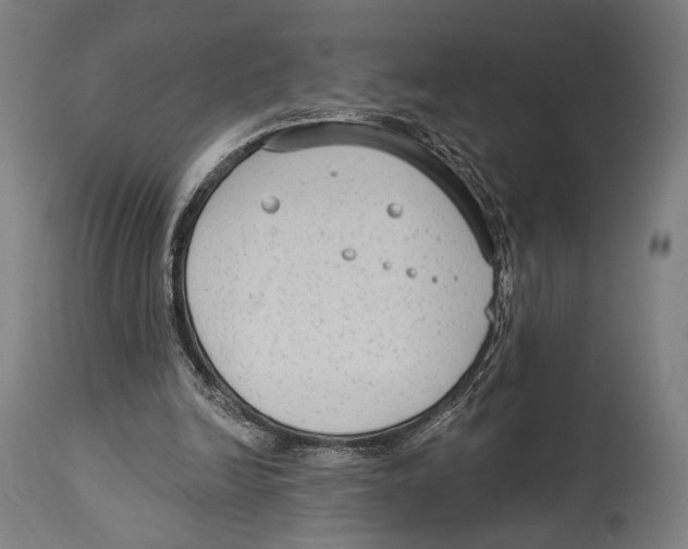 X0000114440246200911131522