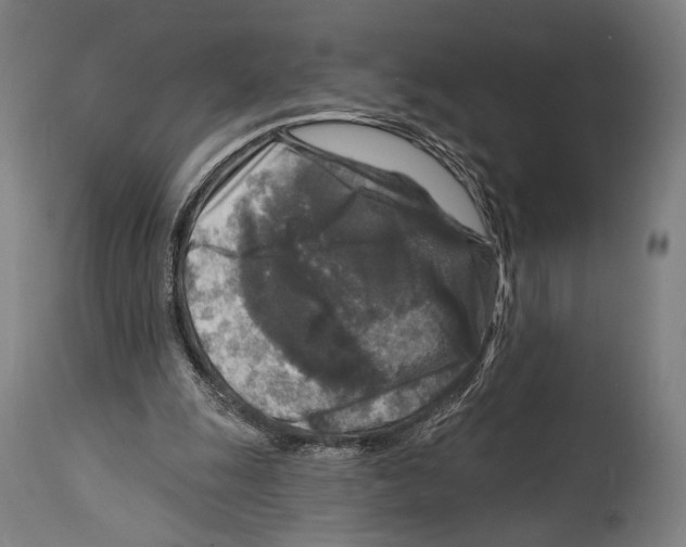 X0000114440247200911131522