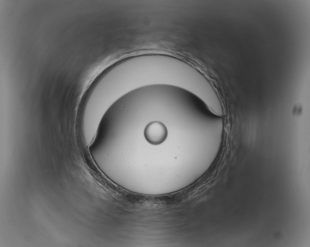 X0000114440248200911131522