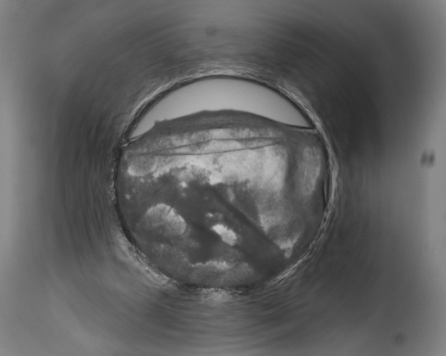 X0000114440249200911131522