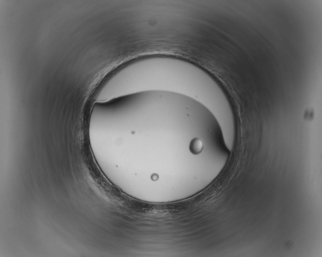 X0000114440252200911131522