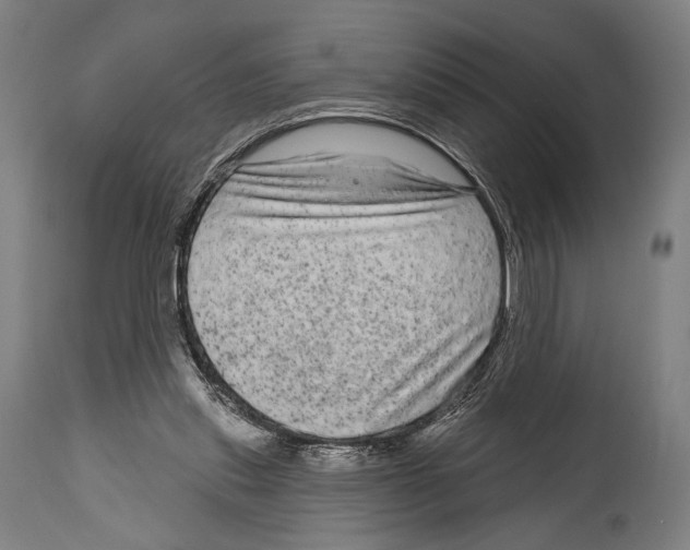 X0000114440253200911131522