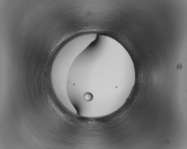 X0000114440256200911131522