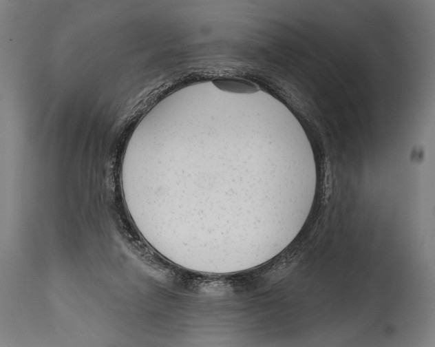 X0000114440258200911131522