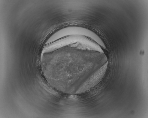 X0000114440261200911131522