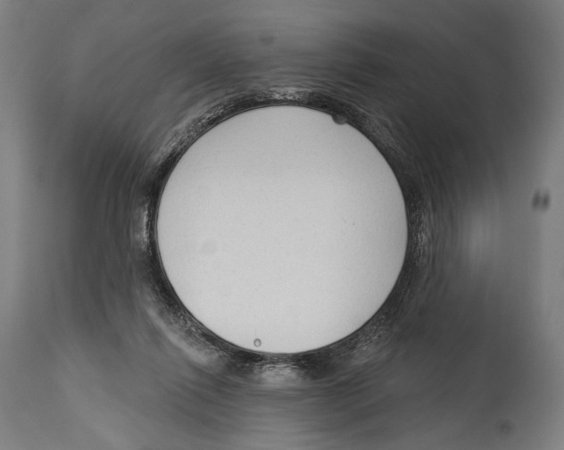 X0000114440262200911131522