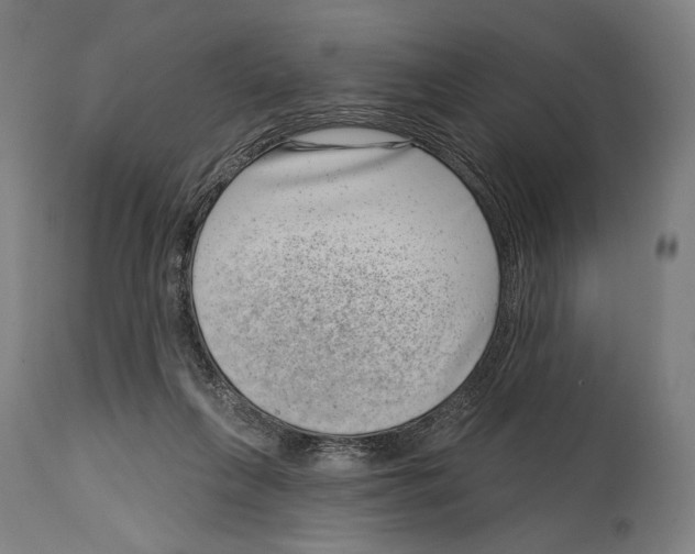 X0000114440263200911131522