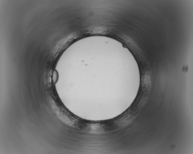 X0000114440264200911131522