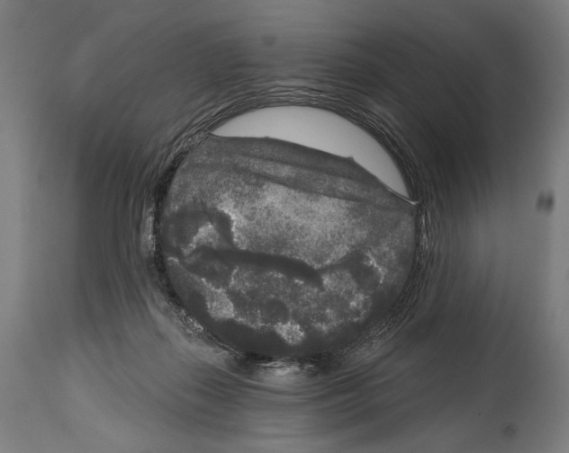 X0000114440267200911131522