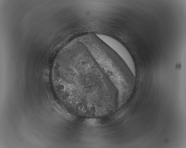 X0000114440269200911131522