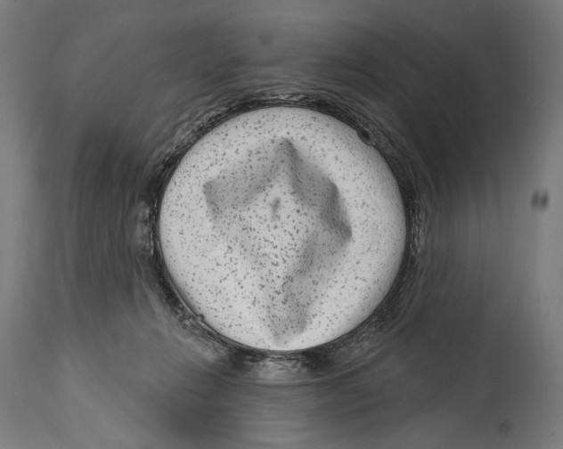 X0000114440270200911131522