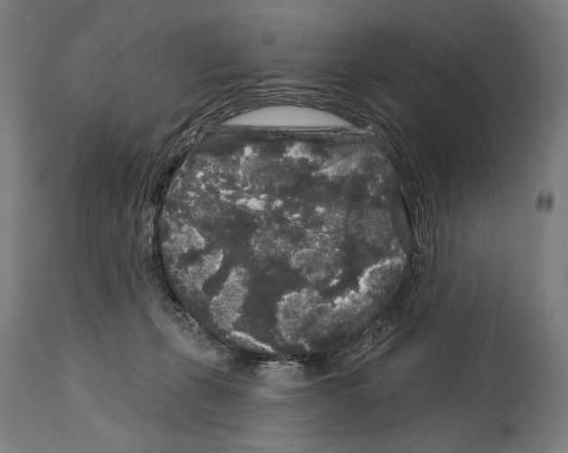 X0000114440271200911131522